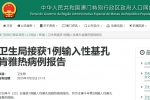 广东基孔肯雅热疫情外溢，医院紧急备货核酸检测试剂盒！